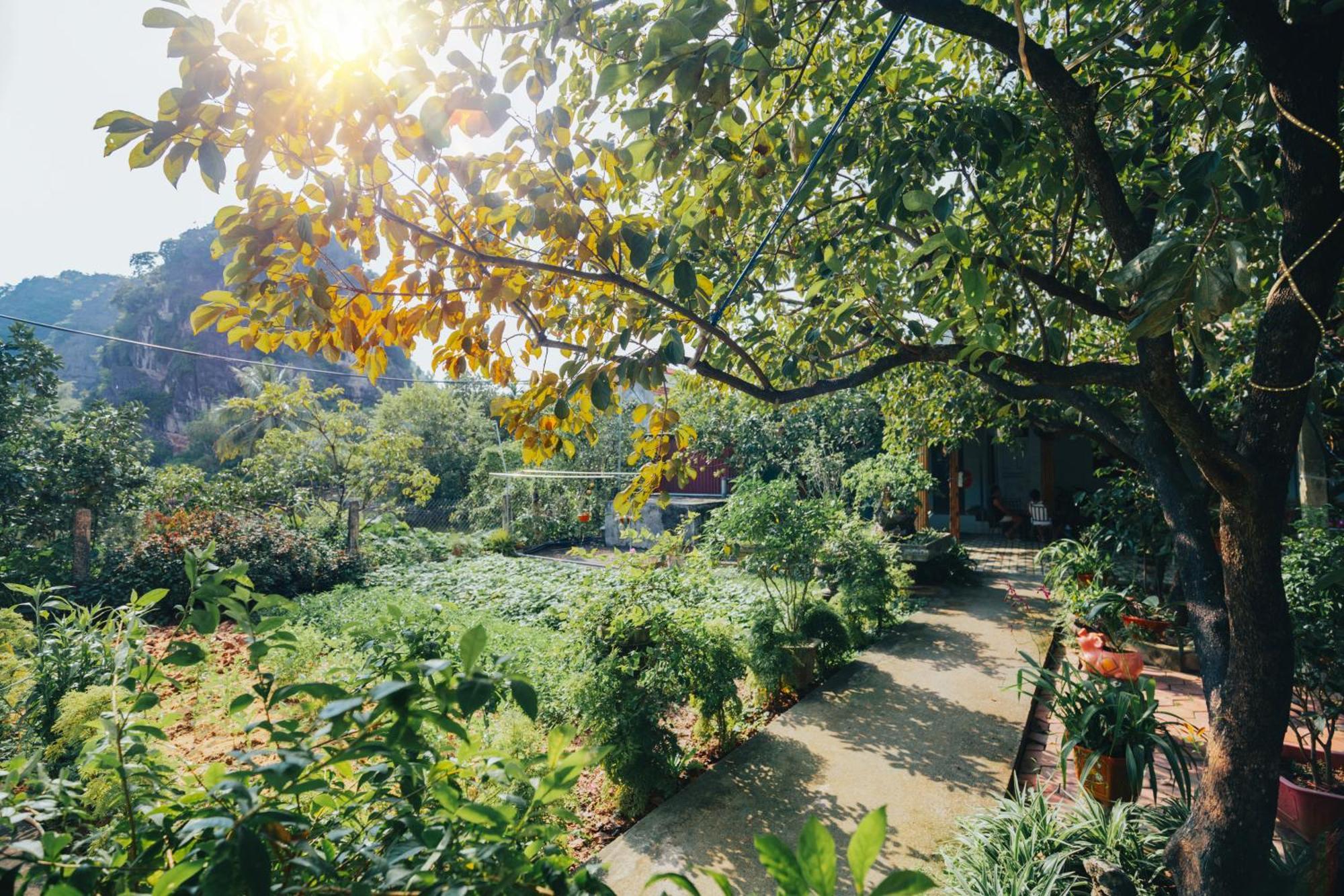 Blue Garden Homestay Ninh Binh Exterior foto