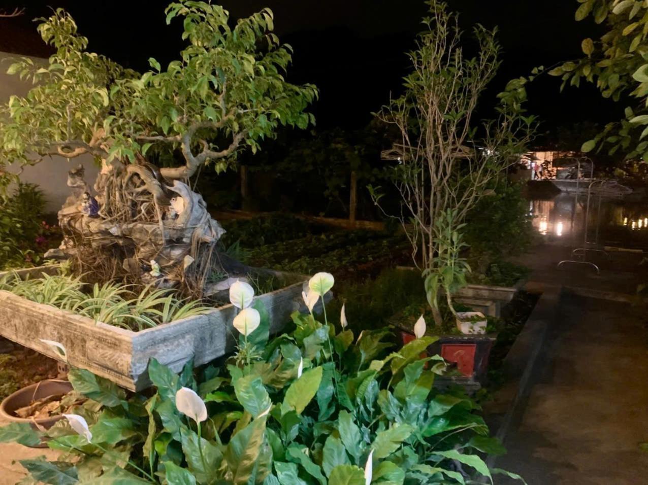 Blue Garden Homestay Ninh Binh Exterior foto