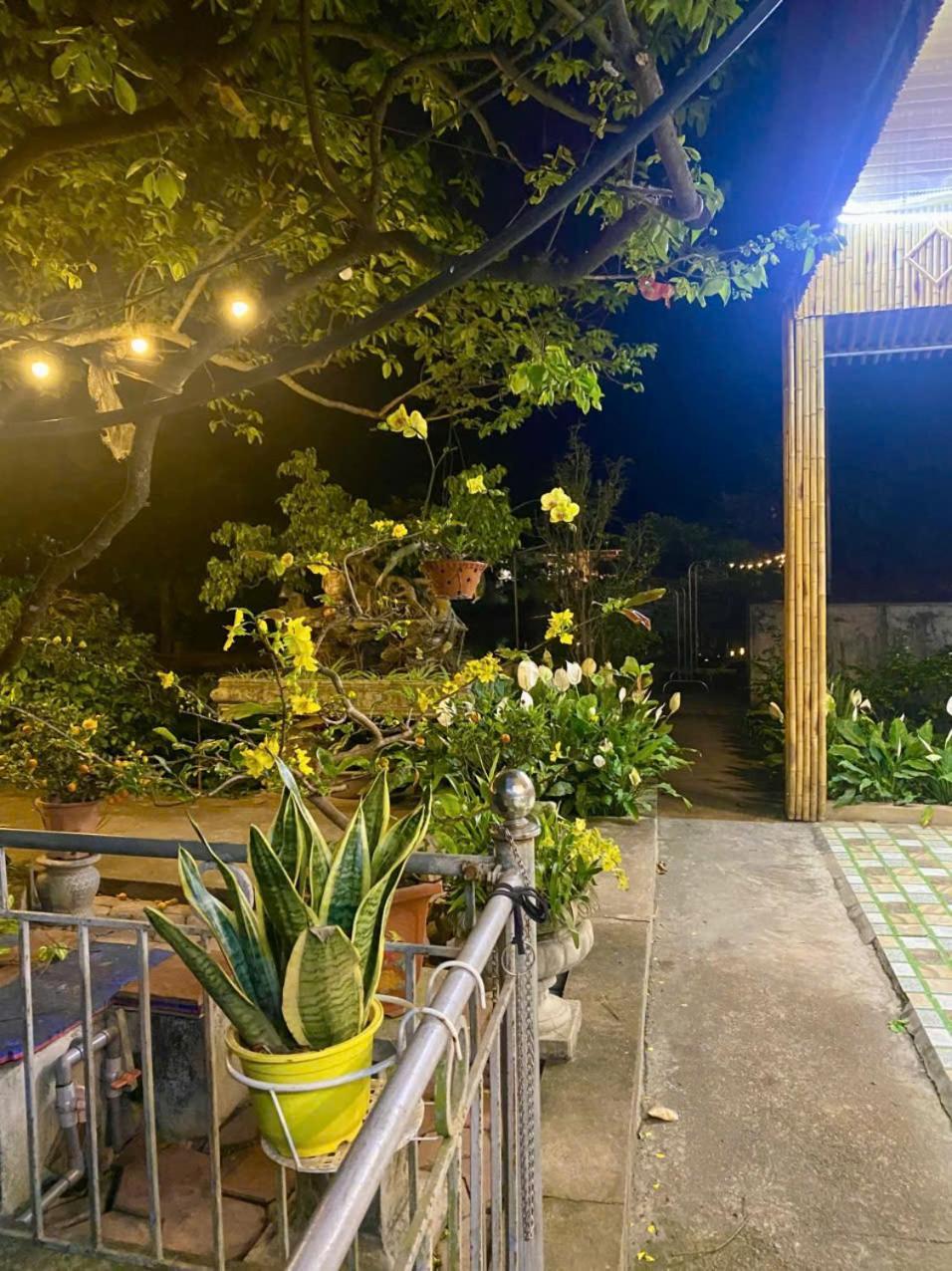 Blue Garden Homestay Ninh Binh Exterior foto