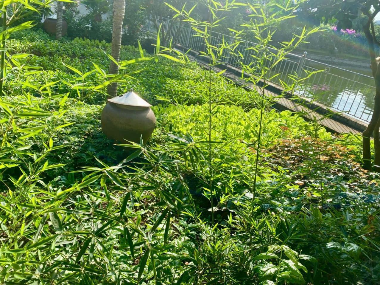 Blue Garden Homestay Ninh Binh Exterior foto